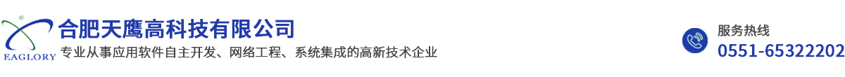 合肥天鷹高科技有限公司